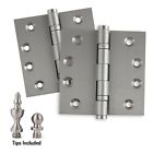 785060105994 Homebuilders Hardware Door Hinges
