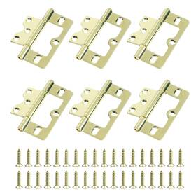 Wx0276 Wealrit 6 Pcs Self Closing Door Hinges Gold Heavy Duty Gate Hinge Non-mortise Hidden