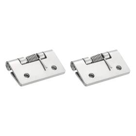 Zaplyte 672668274088 2pcs Self-closing Door Hinges 2 Inch 304 Stainless Steel Spring Exterior