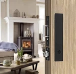 8 Inch Sliding Door Lock, Recessed Handle Latch With Keys For Pocket. Fixed Price $34.99.