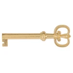 Uniqantiq Hardware Supply Brass Plated Hollow Barrel Skeleton Key Reproductio.... Fixed Price $18.99.