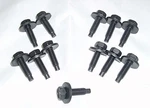 1970-81 Trans Firebird Camaro 12 Pc Door Bolt Set Enough For Hinges. Fixed Price $21.99.