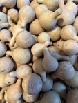 50 Dried & Cleaned, Tennessee Spinner Gourds For Crafting And Fun !!. Fixed Price $37.00.