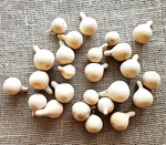 Lot Of 25 Mini Dried Tennessee Spinner Gourds 1.5" 2". Fixed Price $24.99.
