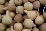 15 Dried Small Tennessee Spinner Gourds For Crafts Free Shipping. Fixed Price $19.99.